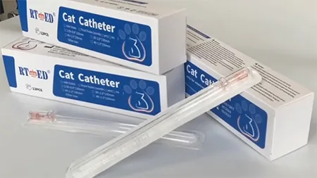 Cat Catheter