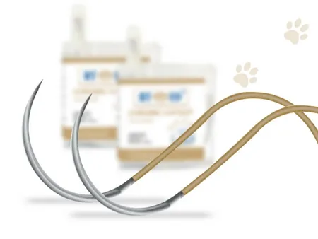 Chromic Catgut Suture